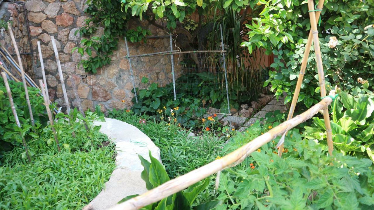 포르투산투스테파노 La Casa Di Elba E Mario 아파트 외부 사진
